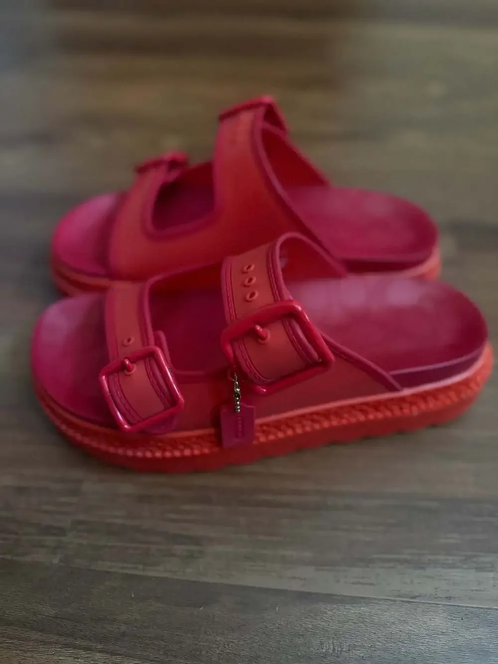 Coach Lucy Platform Rubber Sandal